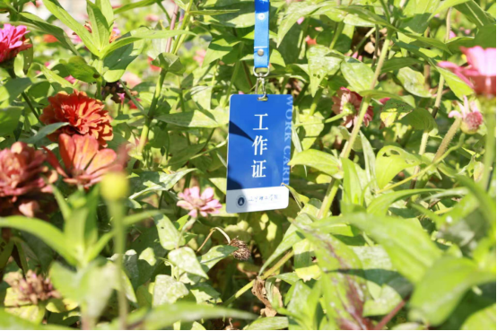 记者节｜镜头映初心 笔墨赴征程——致敬校媒追光者