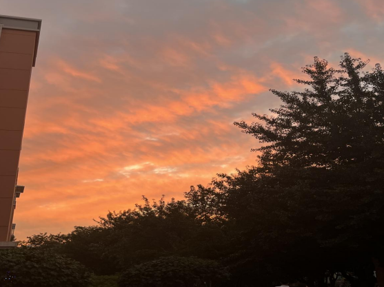 6906f96134bb36c7fe89e10841ee137.png 6906f96134bb36c7fe89e10841ee137.png