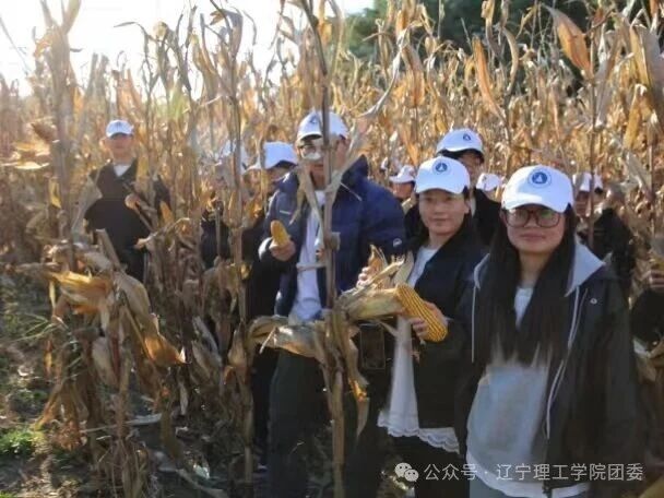 微信图片_2025-11-05_183238_260.jpg 微信图片_2025-11-05_183238_260.jpg