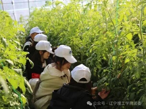 微信图片_2025-11-05_183215_276.jpg 微信图片_2025-11-05_183215_276.jpg