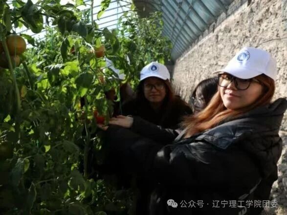 微信图片_2025-11-05_183220_422.jpg 微信图片_2025-11-05_183220_422.jpg