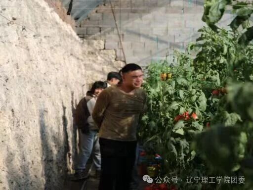 微信图片_2025-11-05_183226_489.jpg 微信图片_2025-11-05_183226_489.jpg