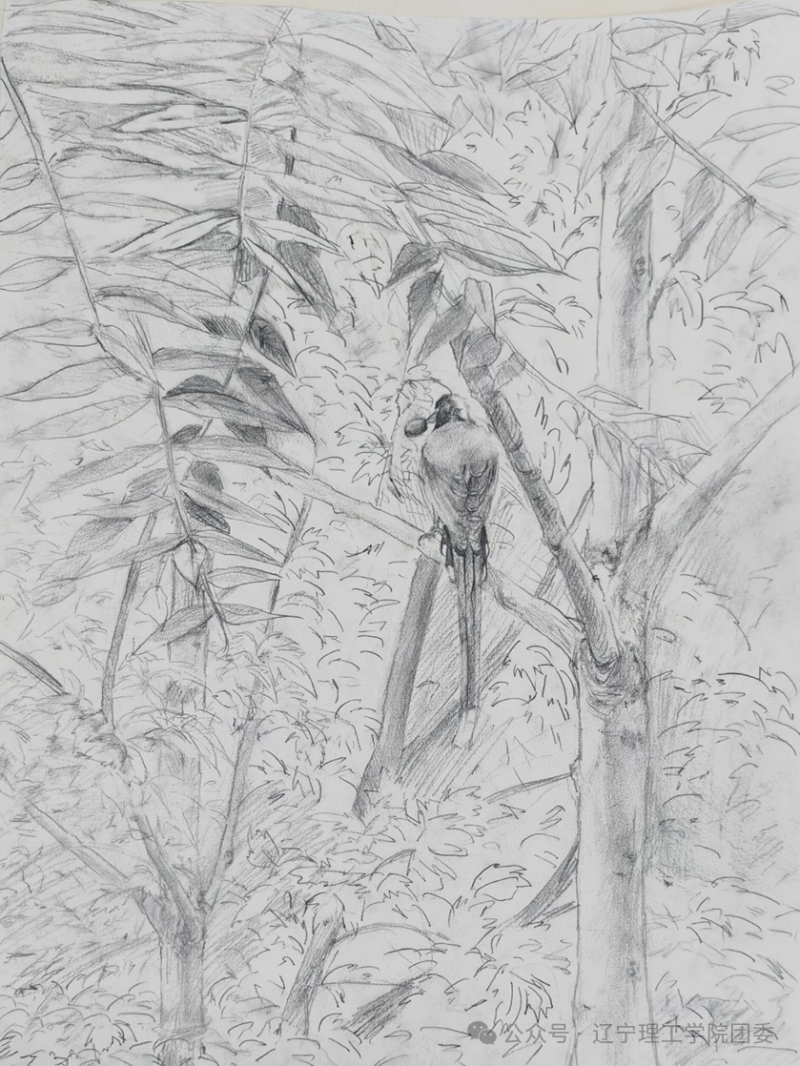微信图片_2025-11-13_074810_472.png