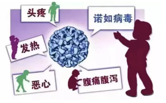 微信图片_20241115082327.png
