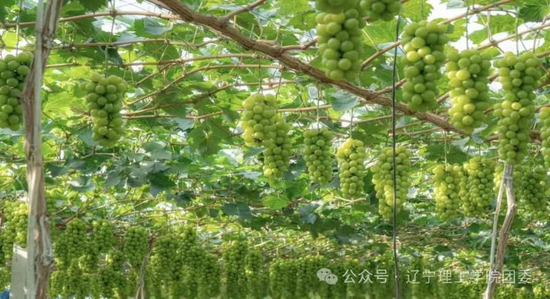 微信图片_20260830195048_108_1.jpg
